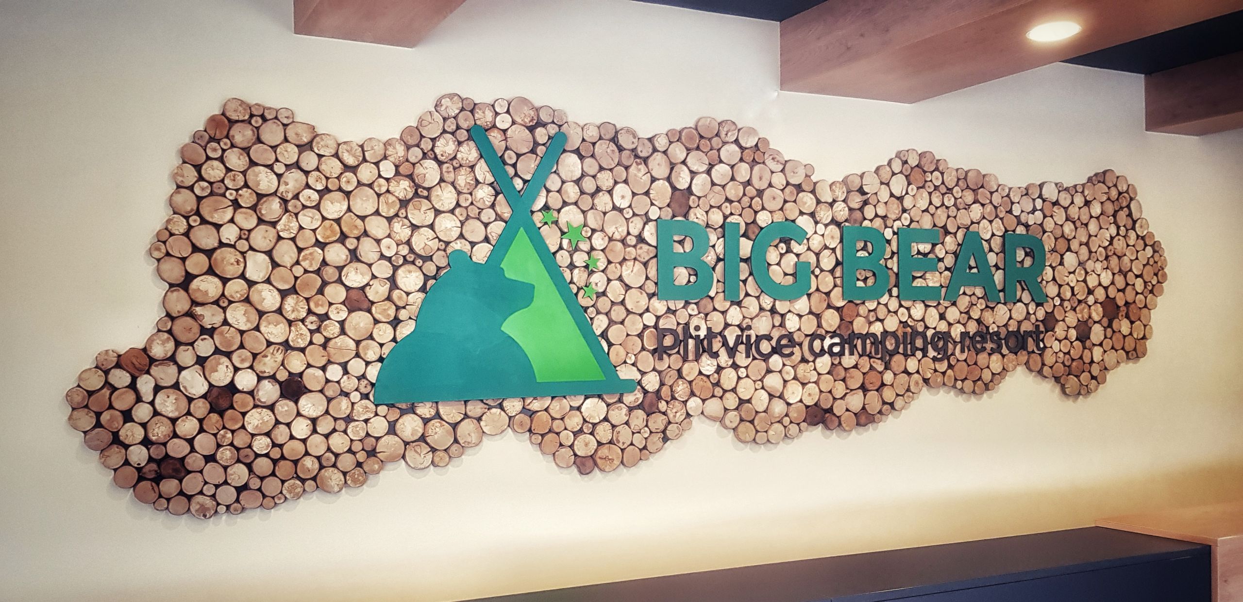 Big Bear zidna obloga od presjeka drveta