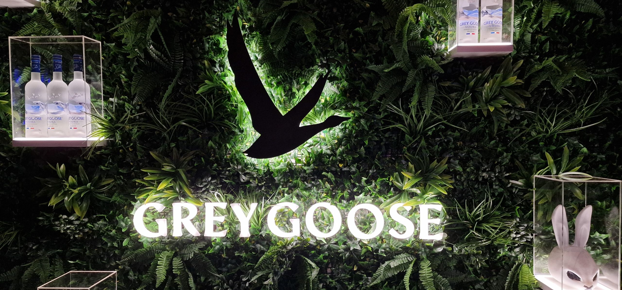 Grey Goose zeleni zid s osvijetljenim logotipom