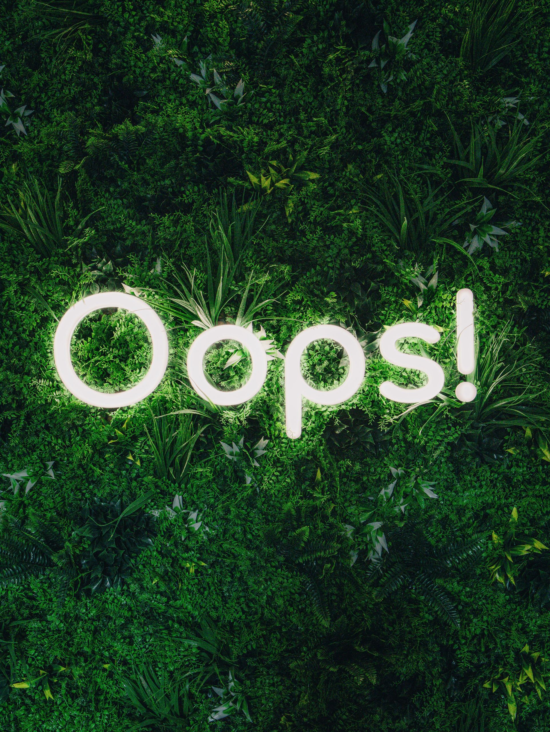 Oops! logotip na zelenom zidu